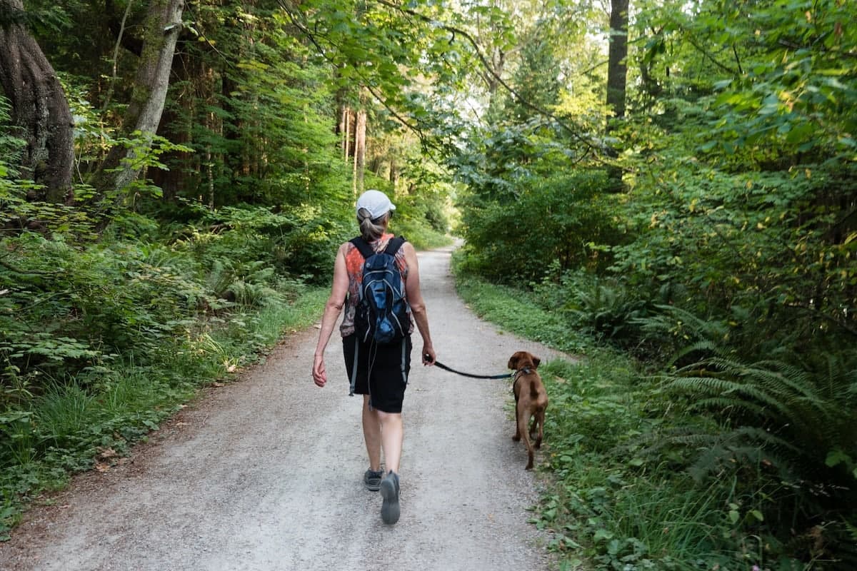Chicago Spots for Indoor Dog Walks