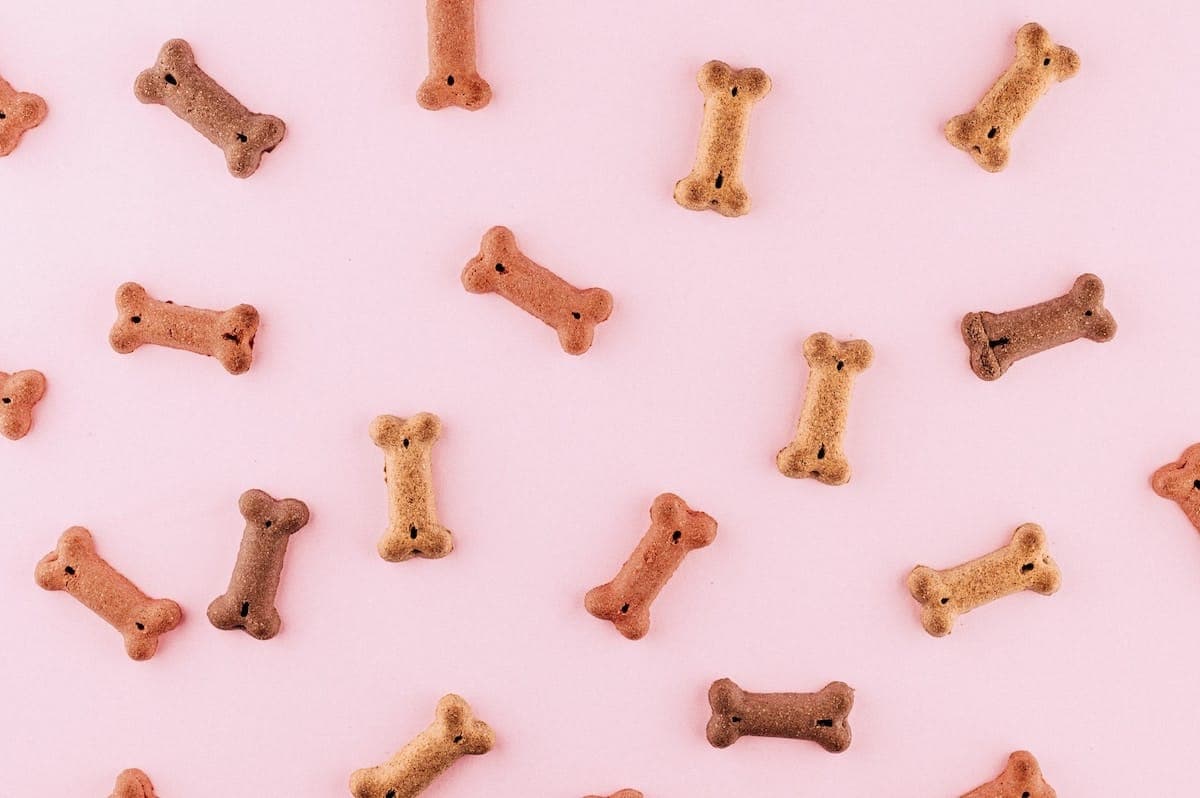 200+ Drool-Worthy Food Names for Dogs
