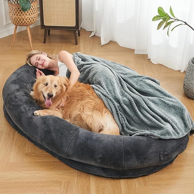 Hooman Holiday Dog Bed Giveaway