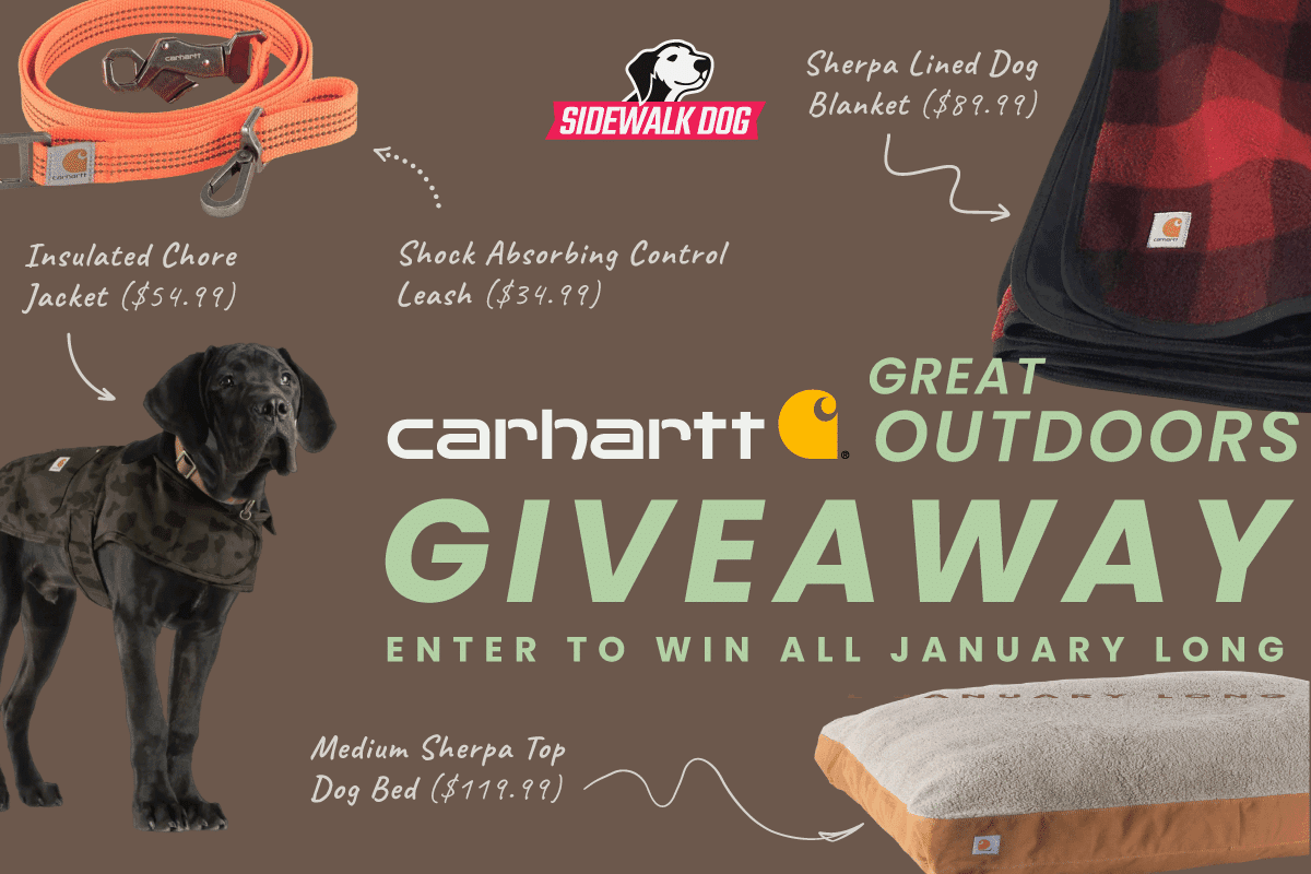 January Great Outdoors Giveaway