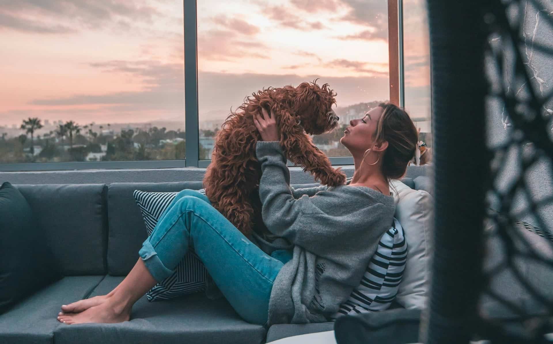 Creating the Ultimate Dog-Friendly Home: 6 Must-Have Appliances and Features