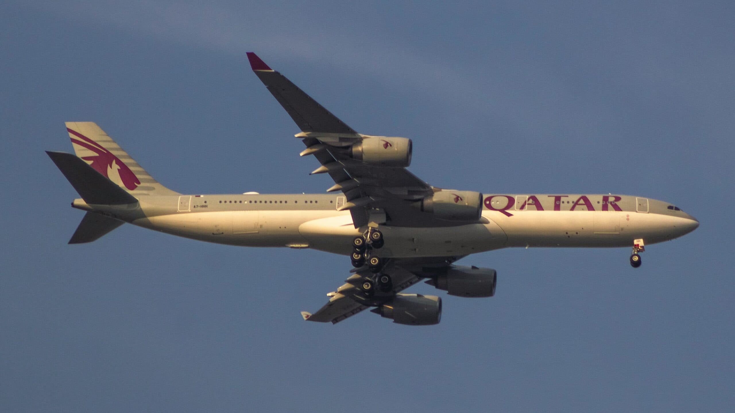 Welcome to Qatar Airways’ Pet Policy