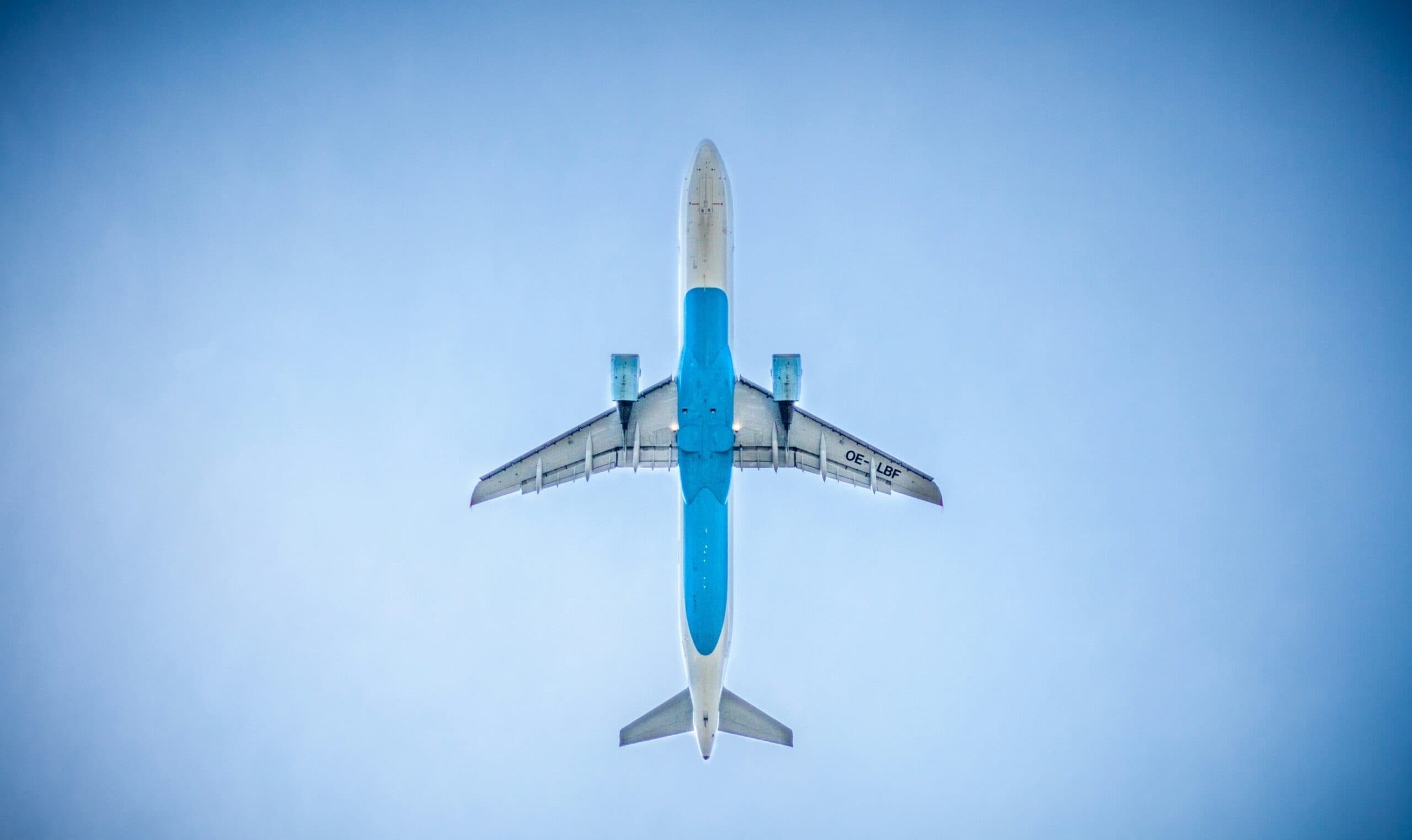 Flying with Your Furry Friends: Alaska Airline Pet Policy