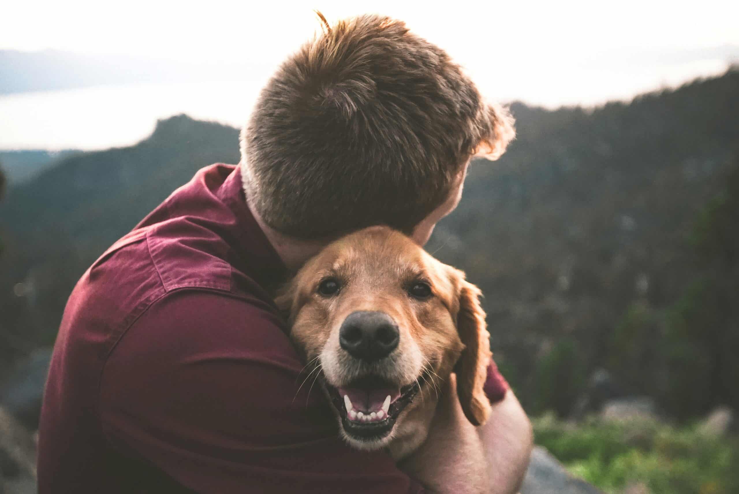 Exploring La Quinta’s Pet-Friendly Policy