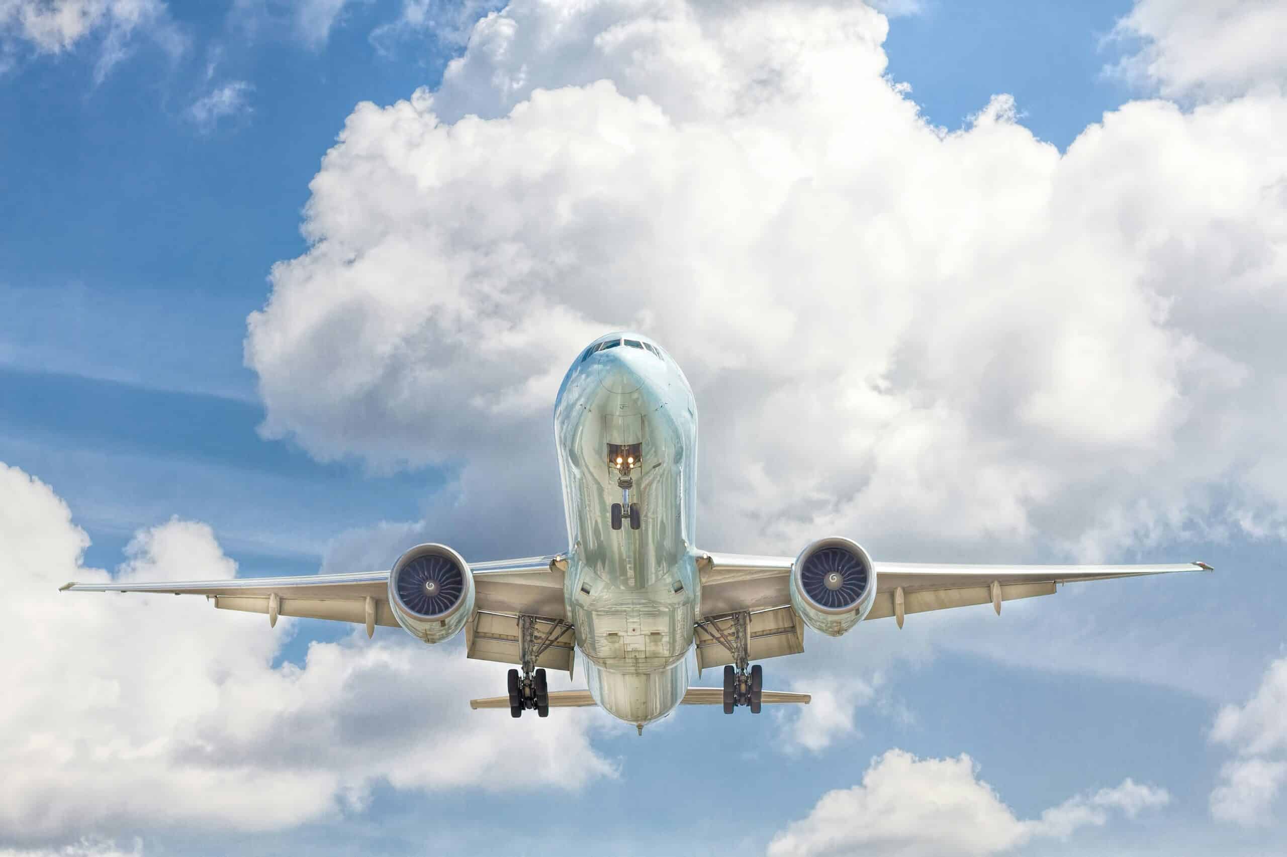 WestJet’s Pet Policy Dog: Such As Pit Bulls–And Pit Bull Mix Guide