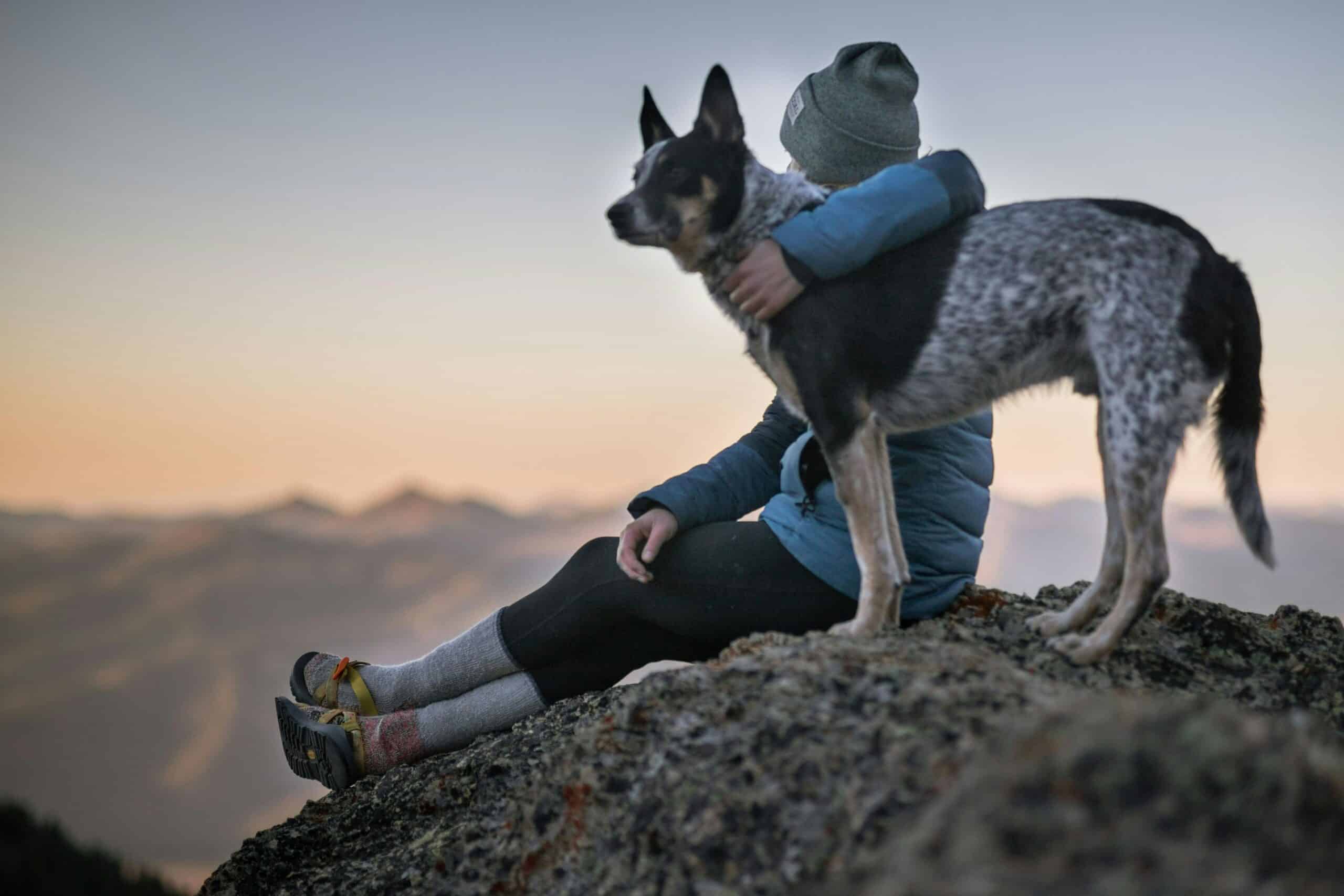What Are Dogs Thinking? A Peek into Your Dog’s Secret Diary