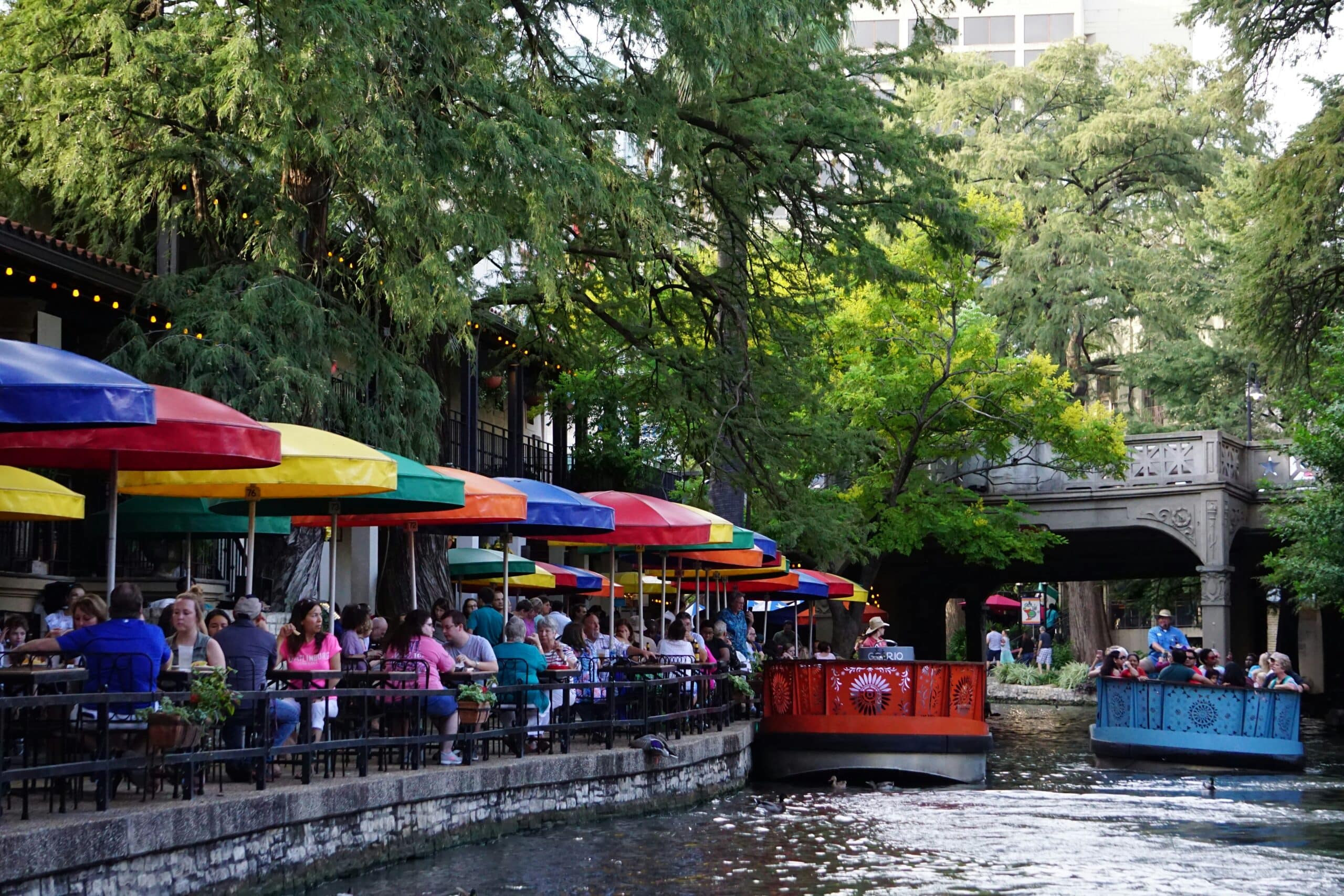 10 Dog-Friendly Places in San Antonio