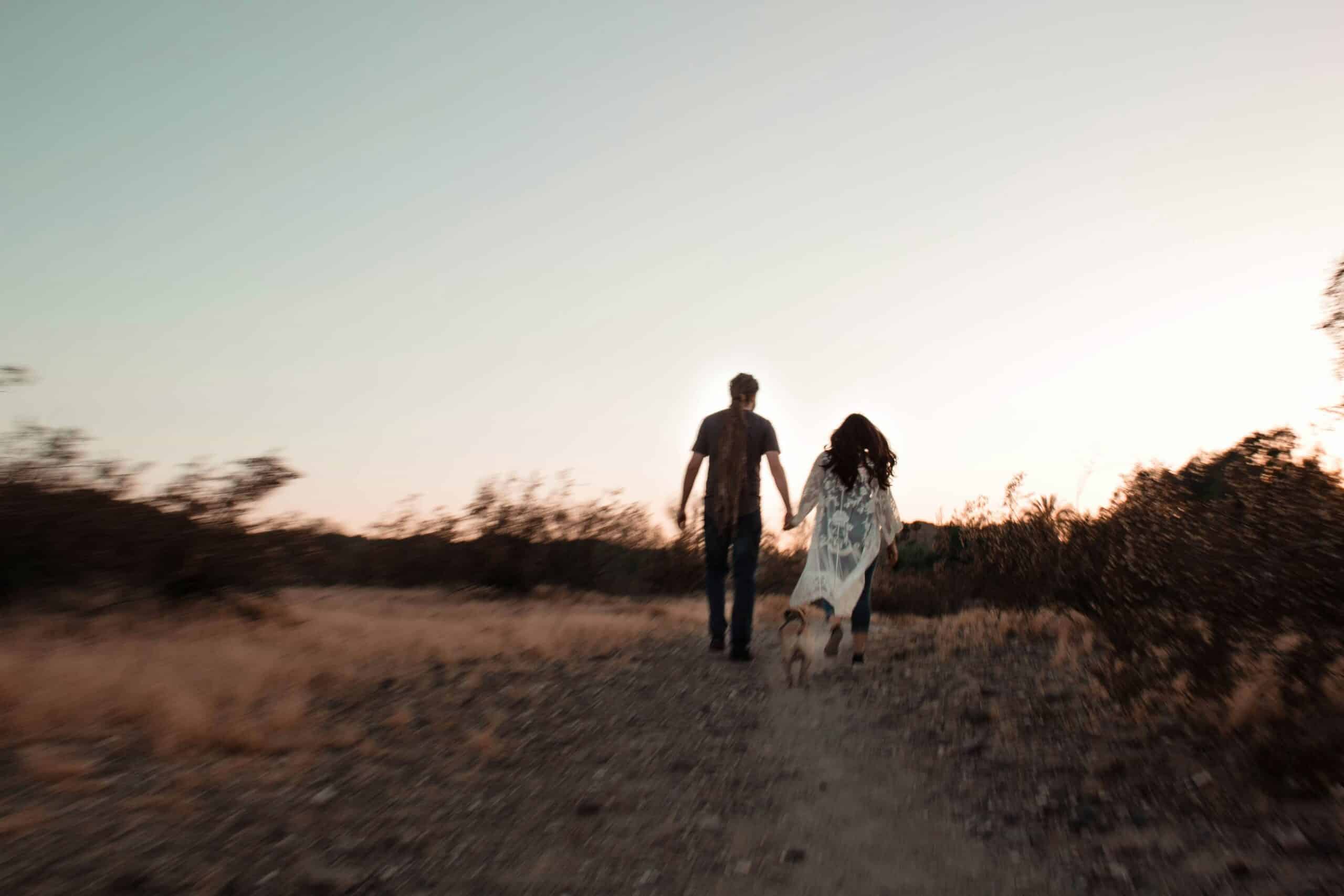 10 Dog Friendly Hotels in Flagstaff, AZ