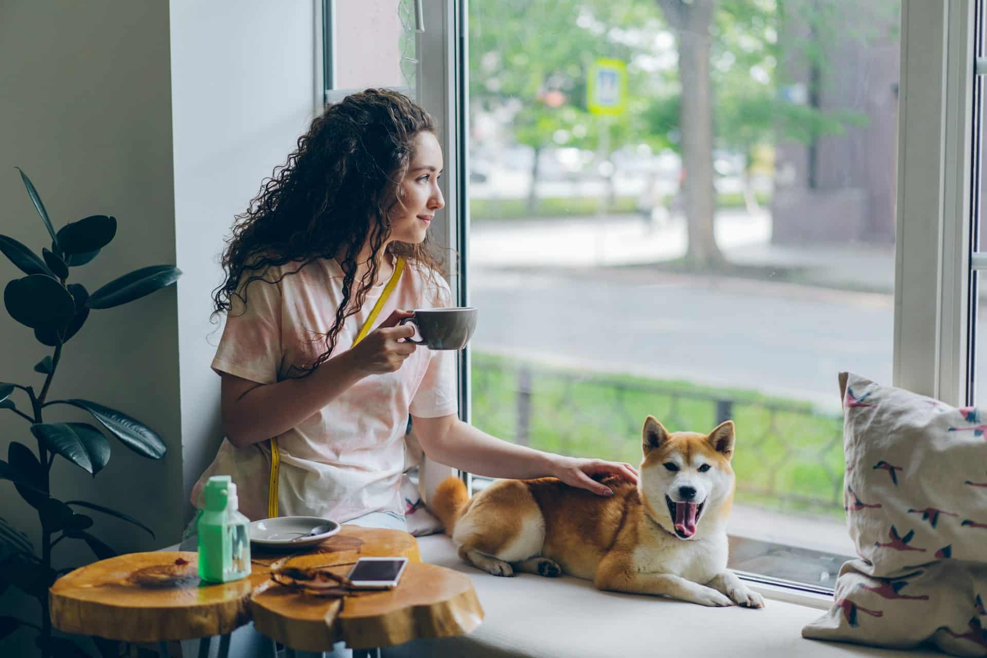 6 Spots for Denver Dog-Friendly Brunch