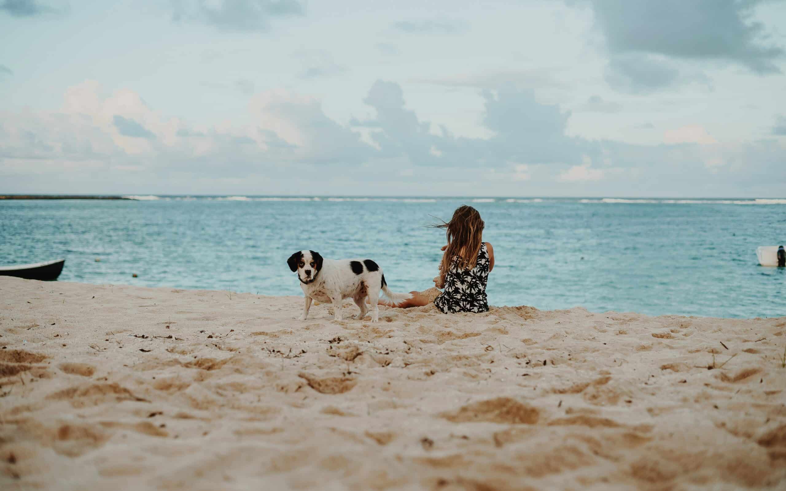 10 Dog-Friendly Beaches in California