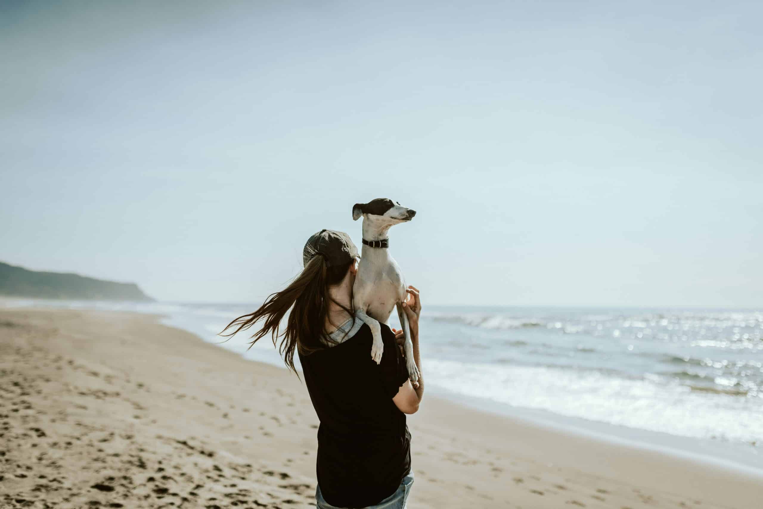 10 Best Apps for Dog Owners: How Students Can Simplify Pet Care