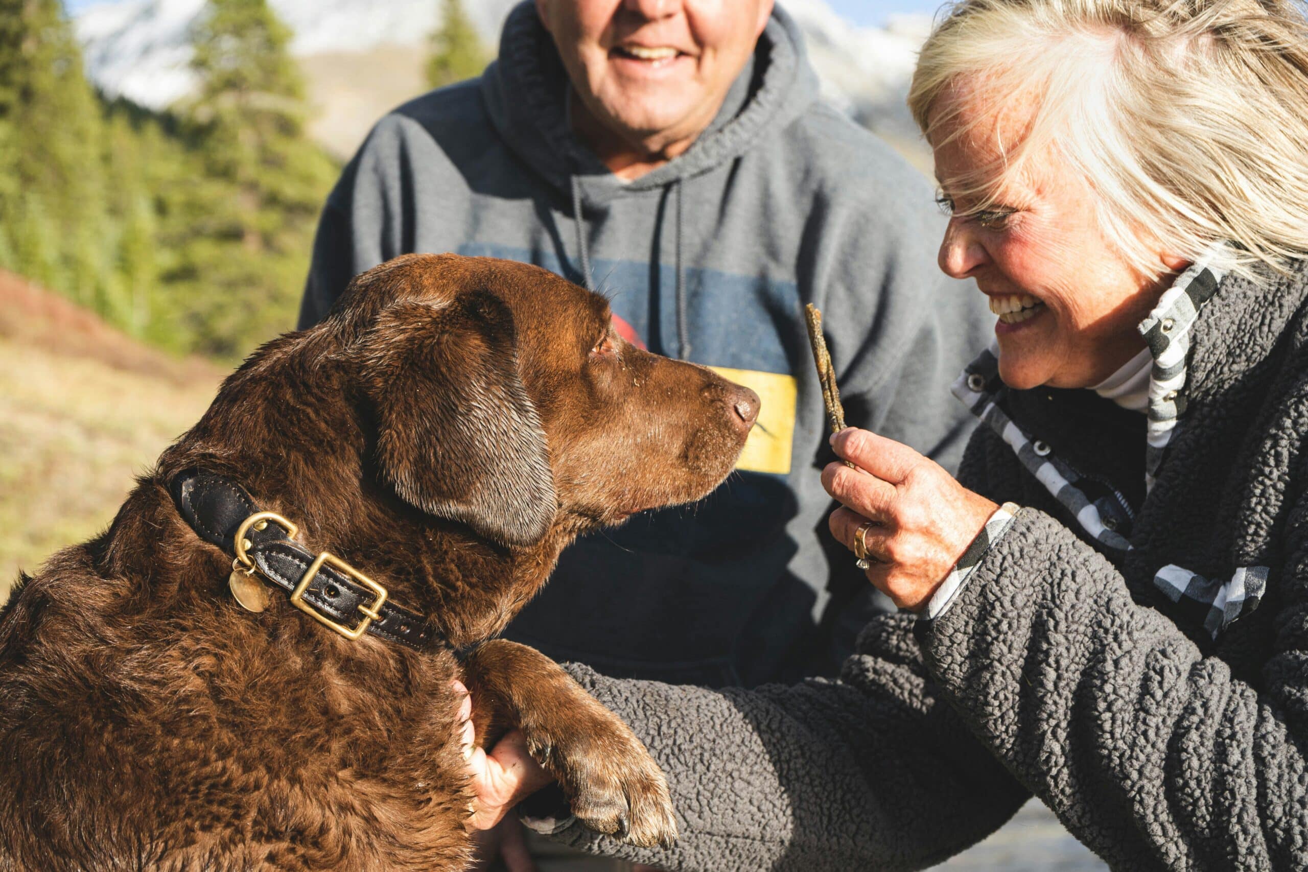 Using Treats in Positive Reinforcement Dog Training