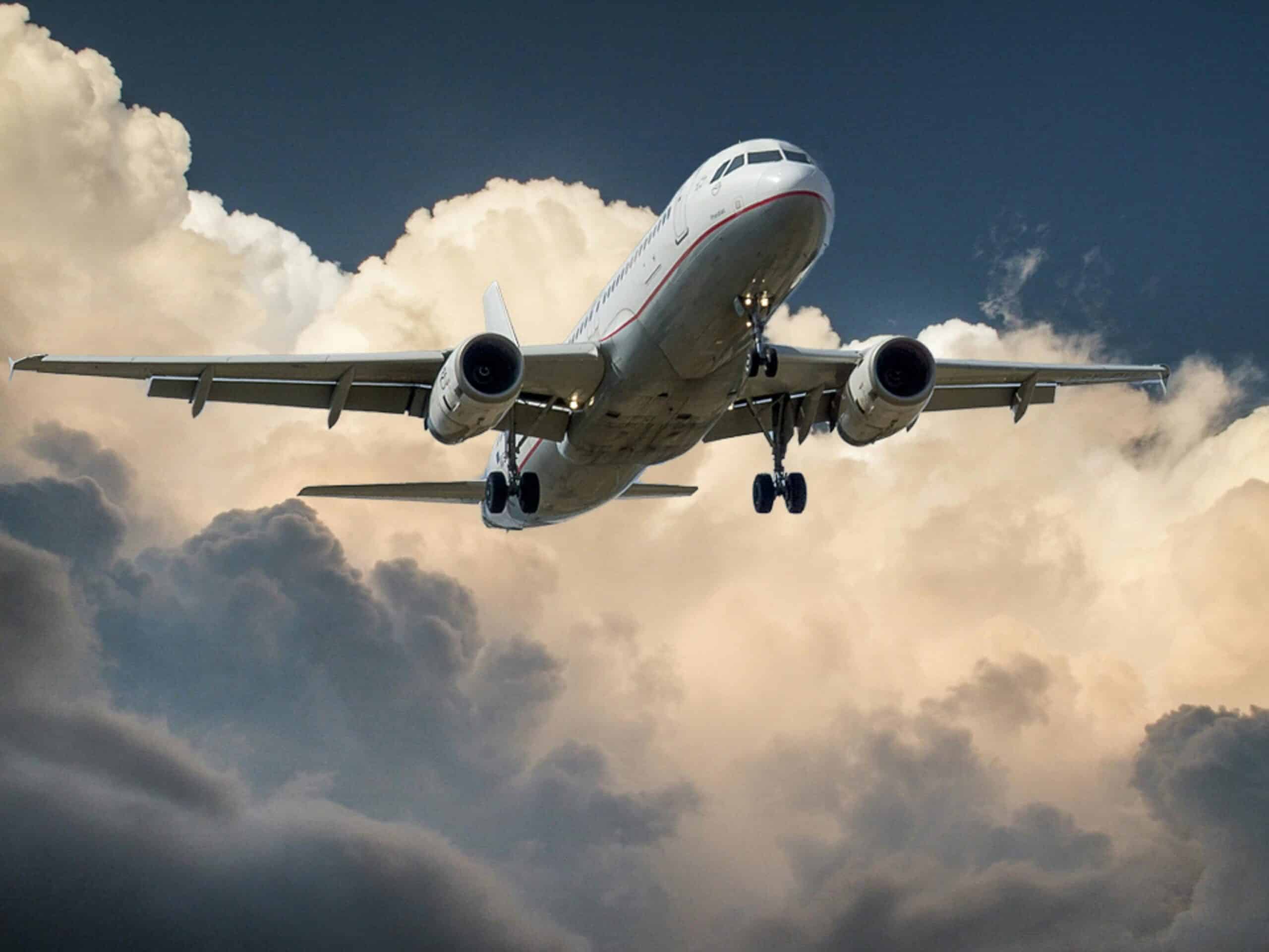Aeromexico Pet Policy: Everything You Need to Know