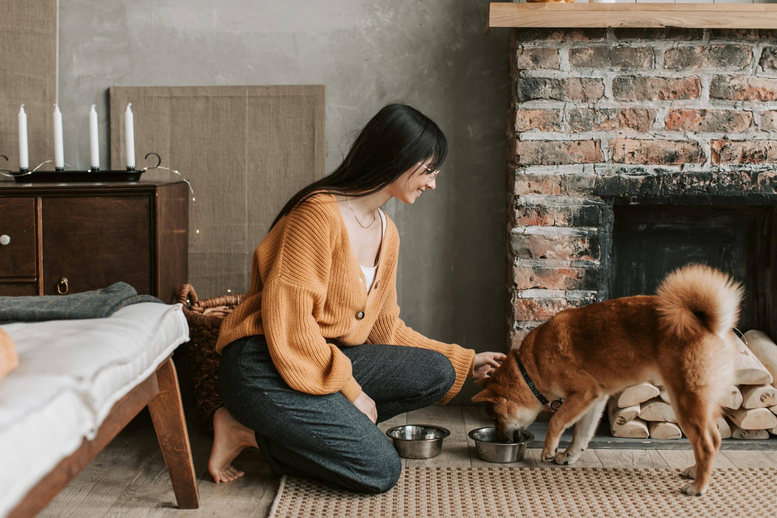 Can Dogs Eat Beef Jerky? The Dangers and Benefits
