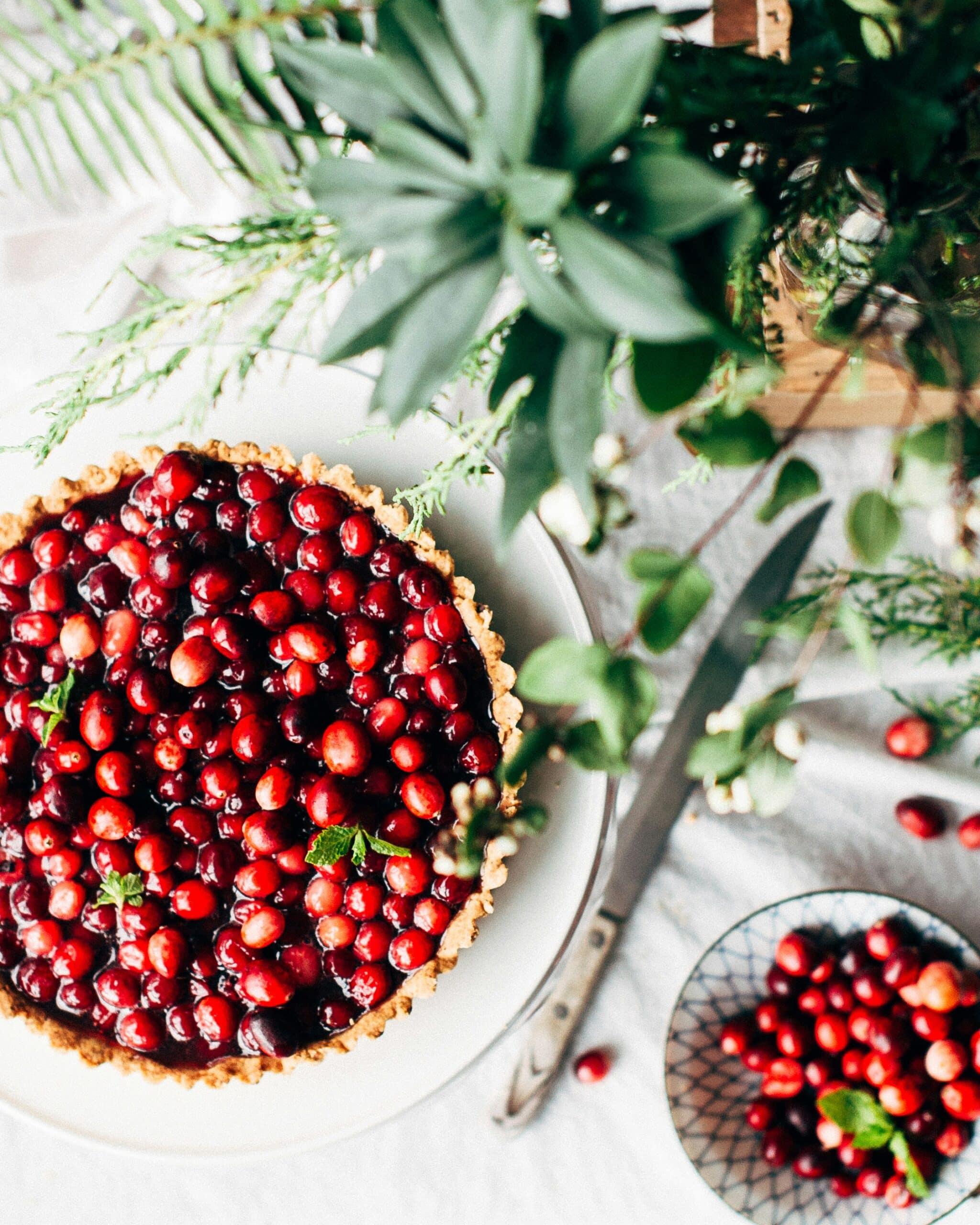 Can Dogs Eat Cranberries? How to Avoid a Holiday Hazard