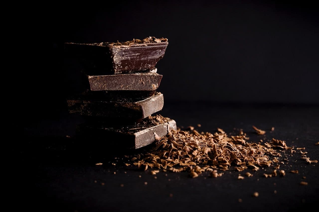 Is it Really THAT bad for my dog to eat Chocolate??