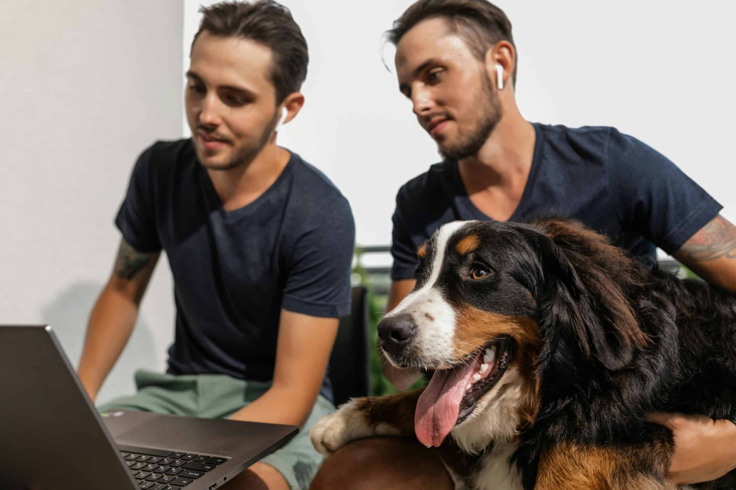 Service & Support Dogs in Special Needs Education