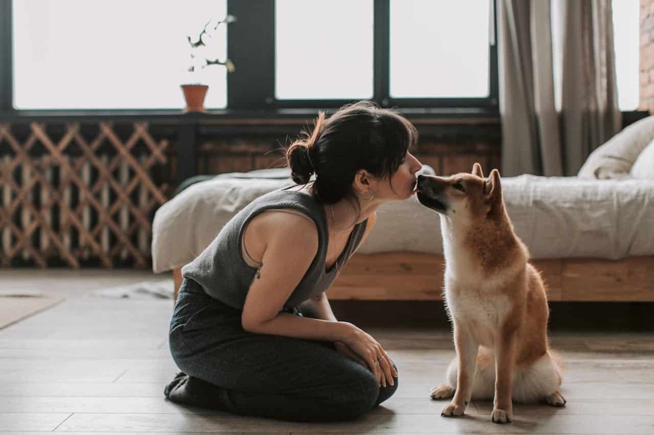 Beyond Barking: Can Dogs Understand Human words?