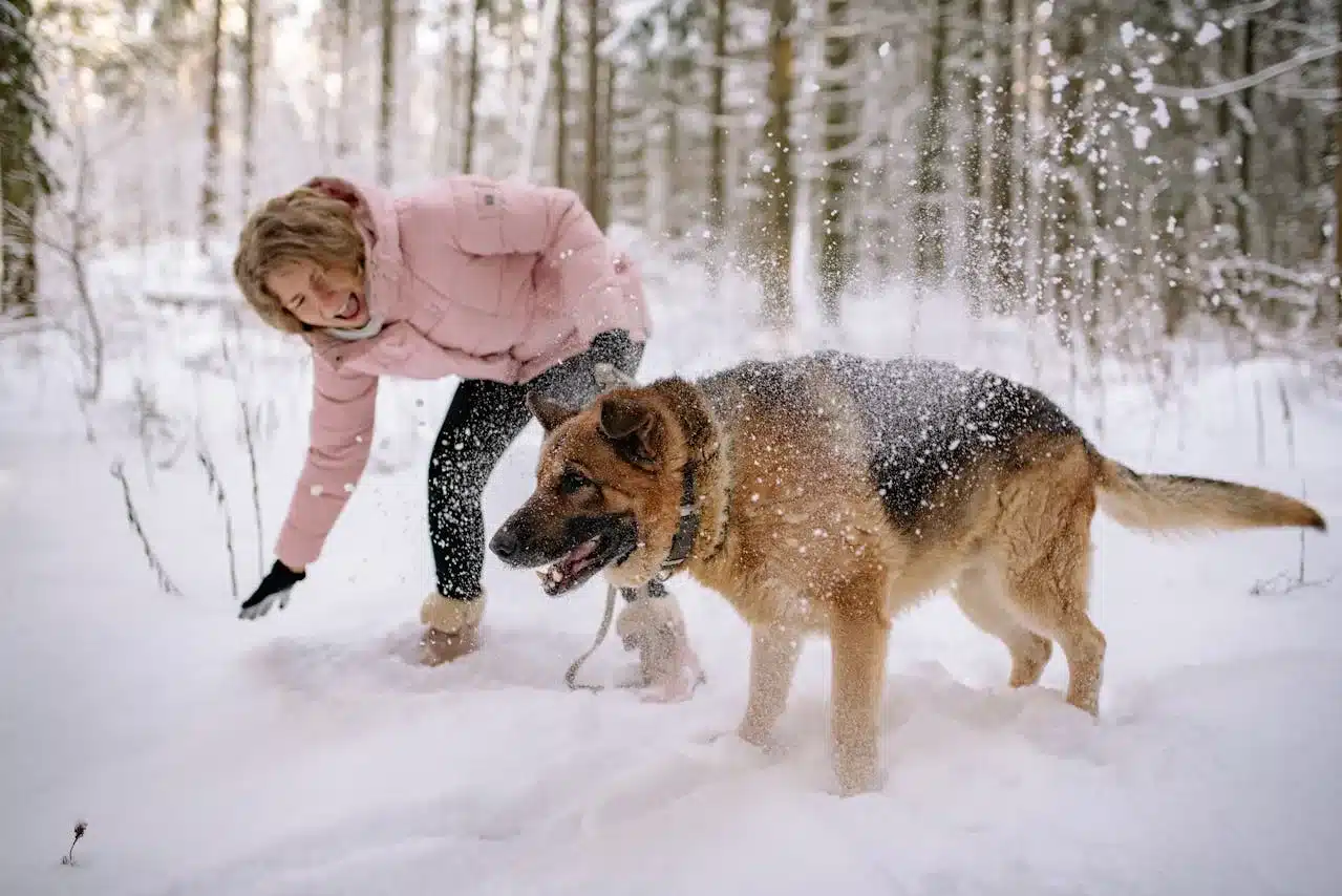 Do Dogs Have a Favorite Person? Signs You’re Not the Spare!