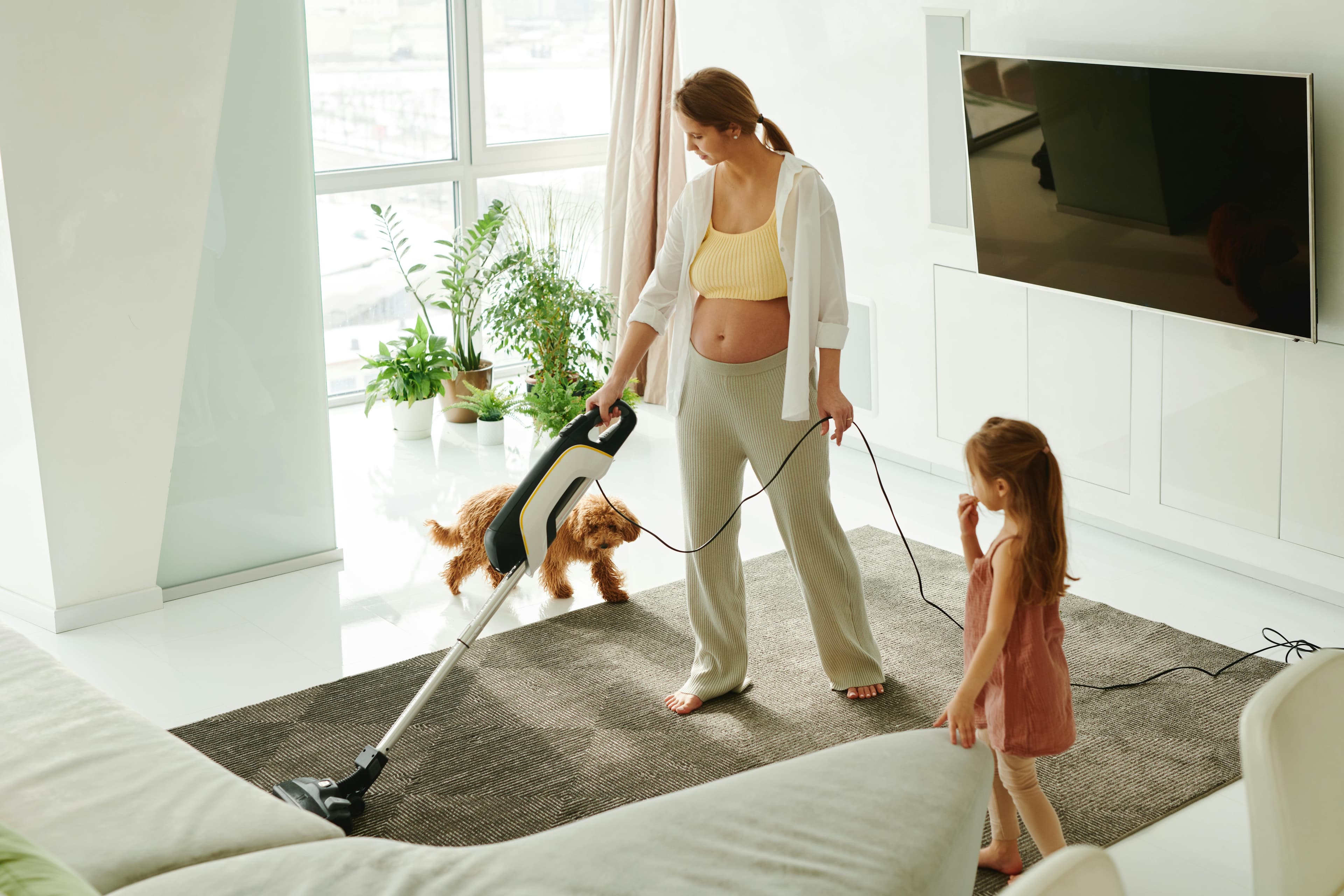 How to Tell if Cleaning Products are Dog Safe?