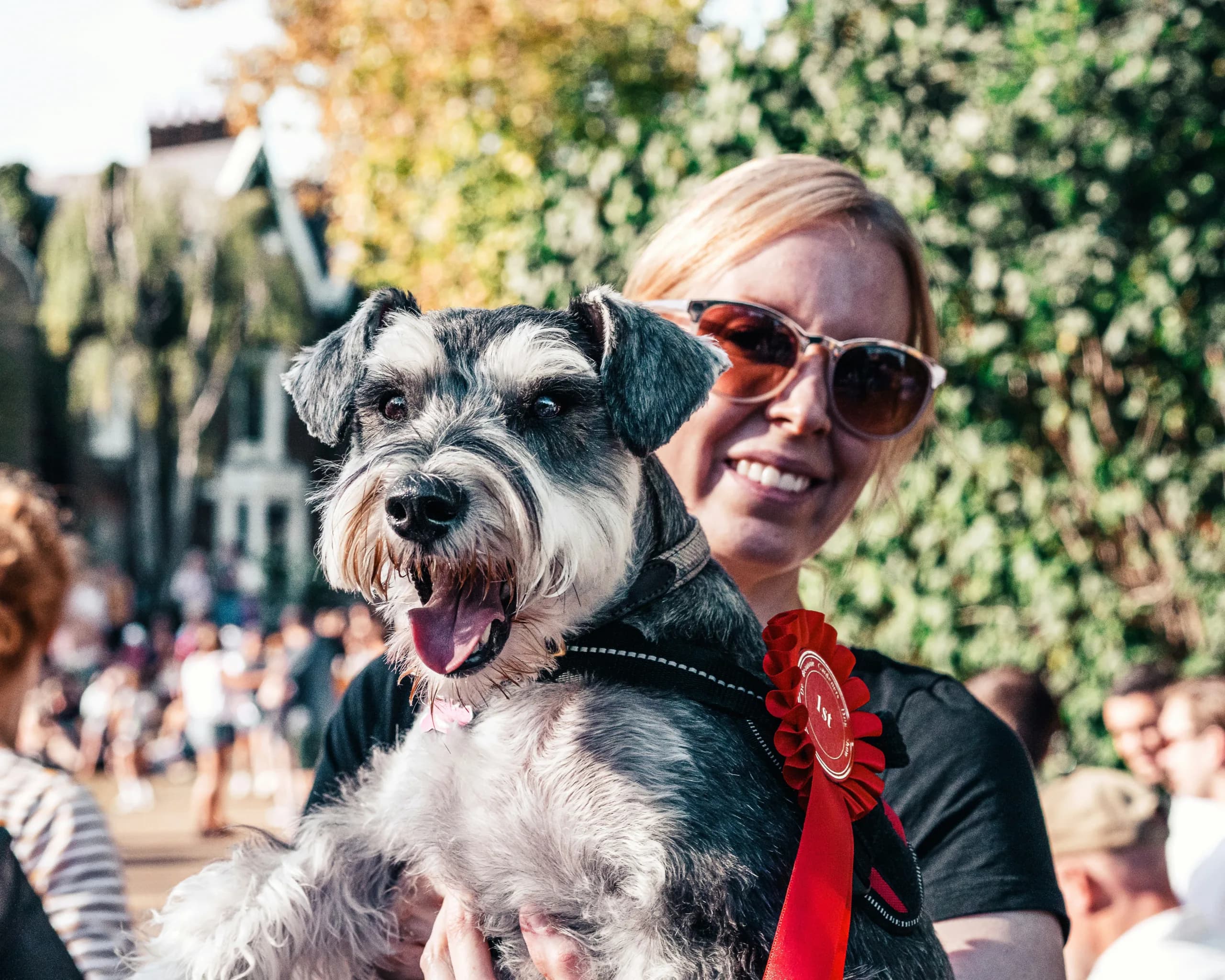 Card Collecting Goes to the Dogs: Topps + Westminster Champs