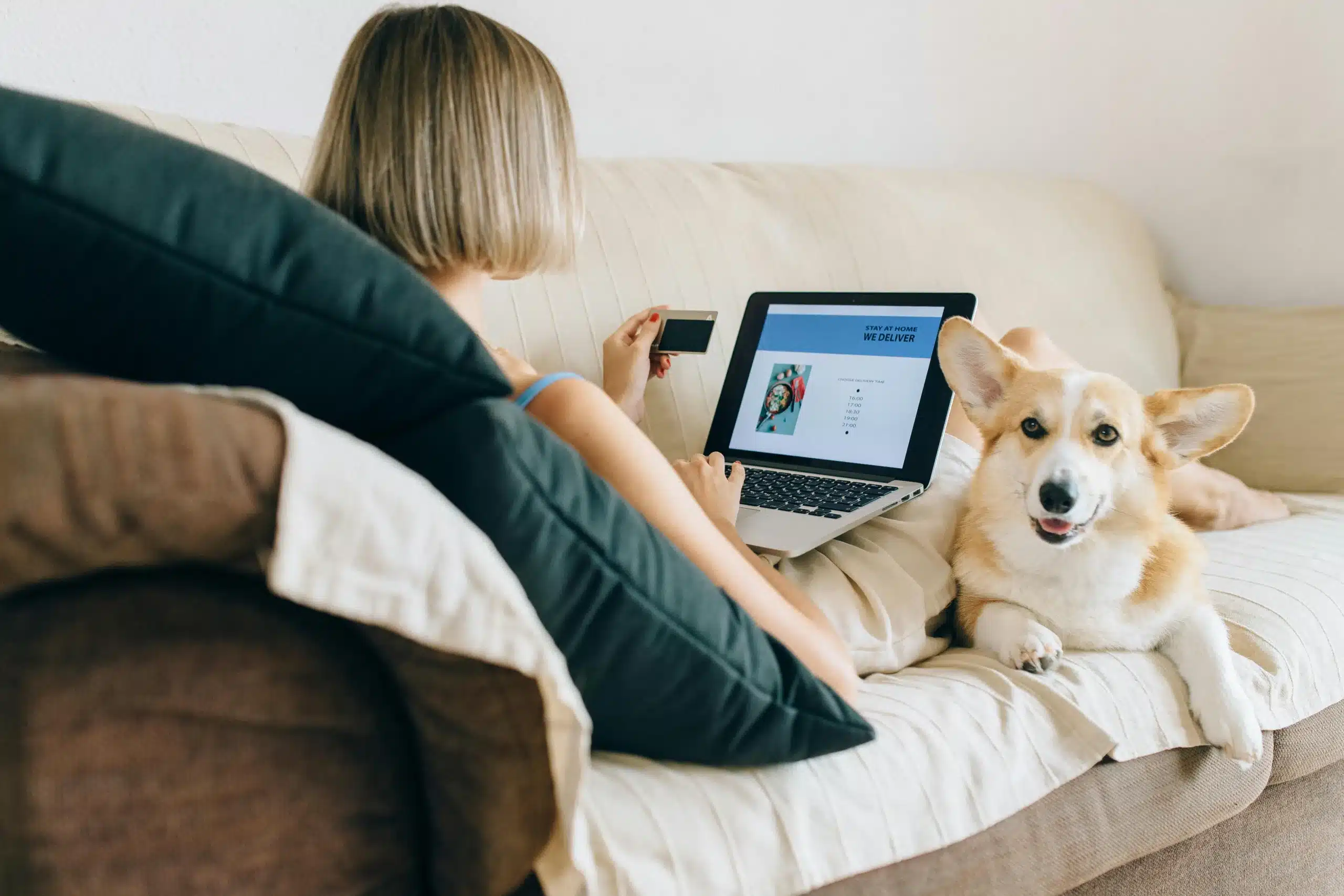 The 4 Best At‑Home Tech Products for Treating Your Pet