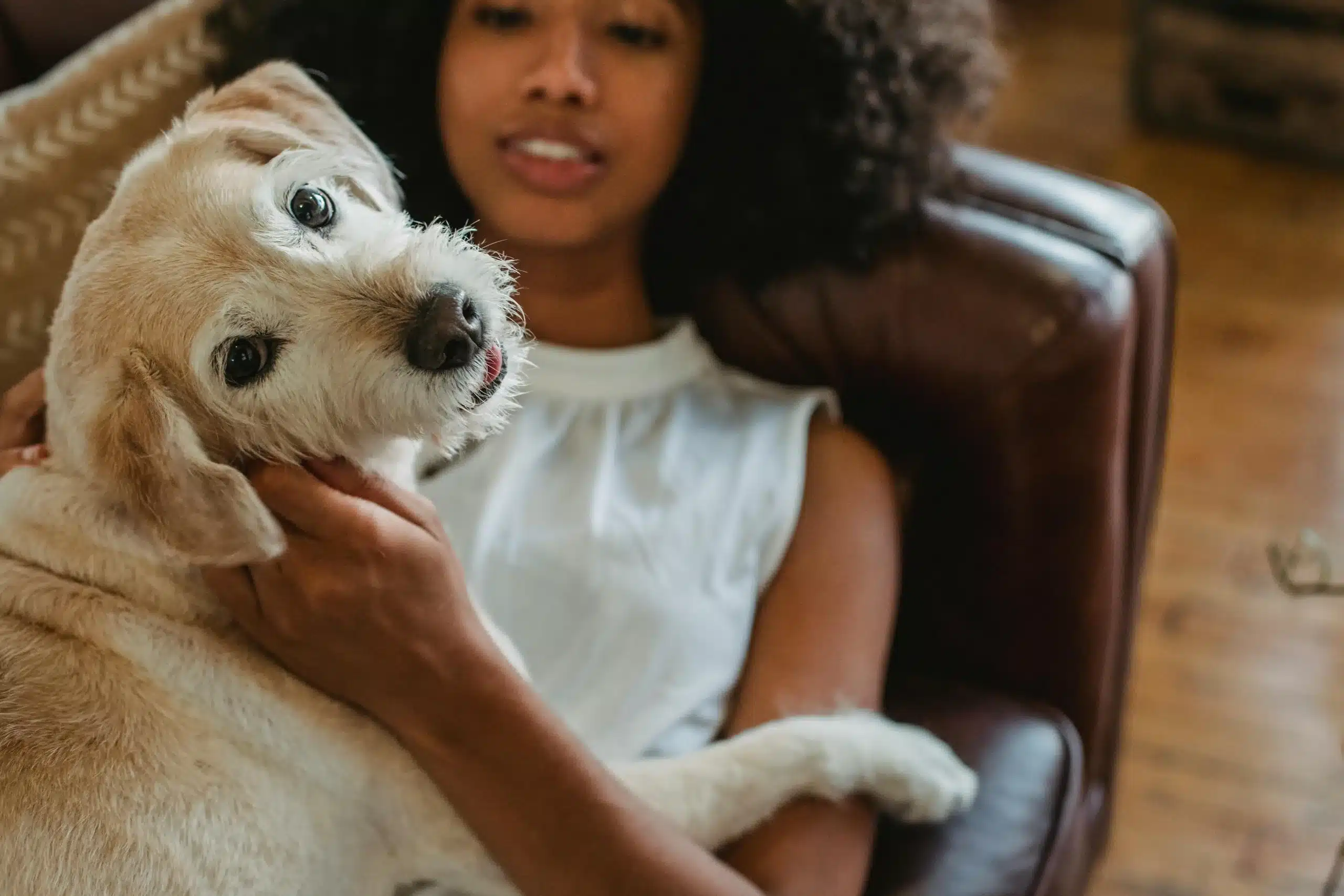 Does My Dog Need a Therapist?