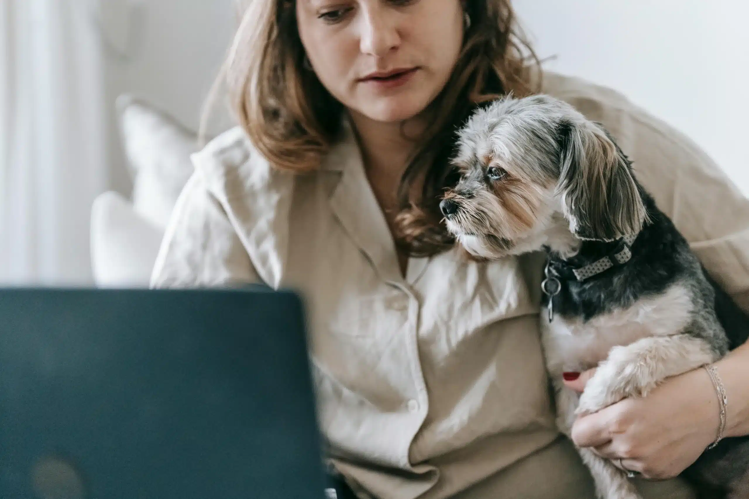 15 Fun Pet Business Ideas for Animal Lovers to Try