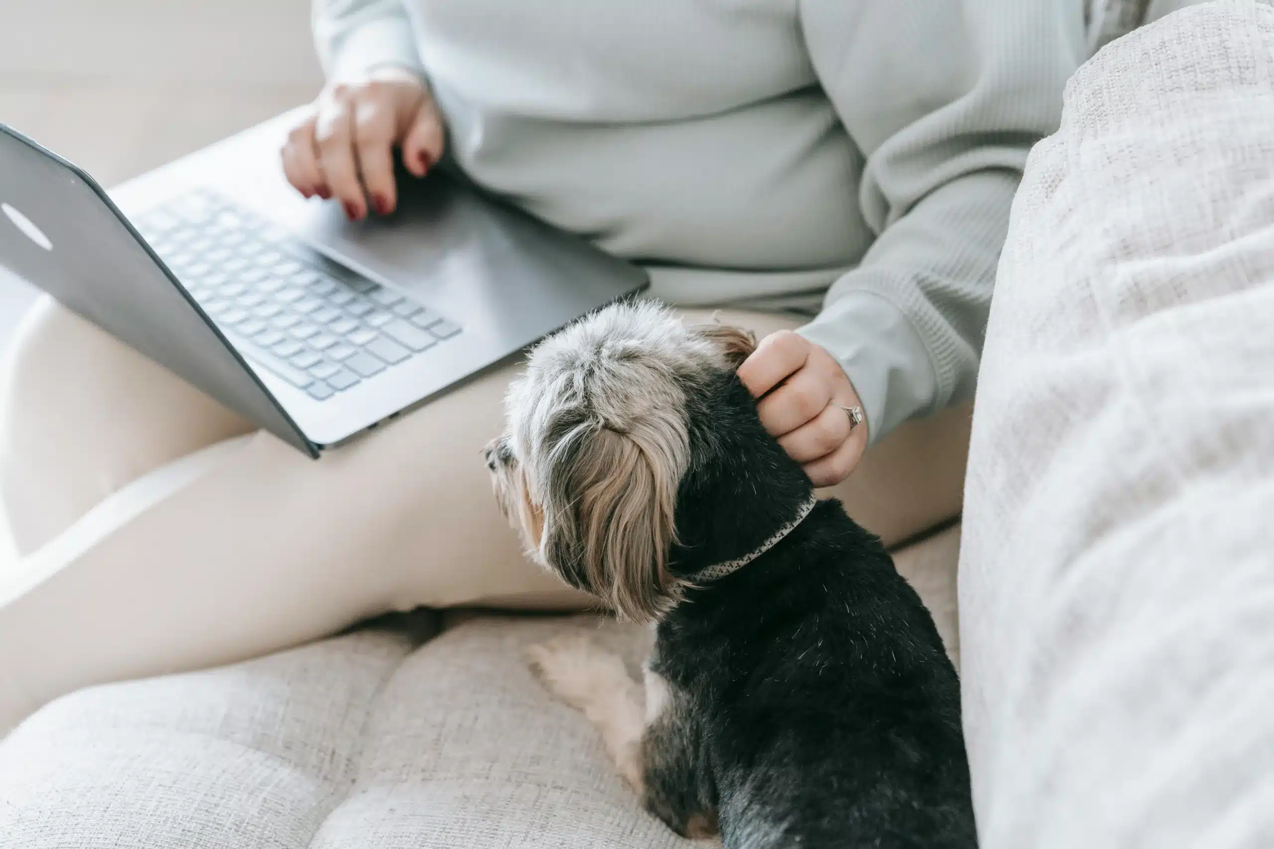 How College Students Pick Dog Names: Trends & Insights