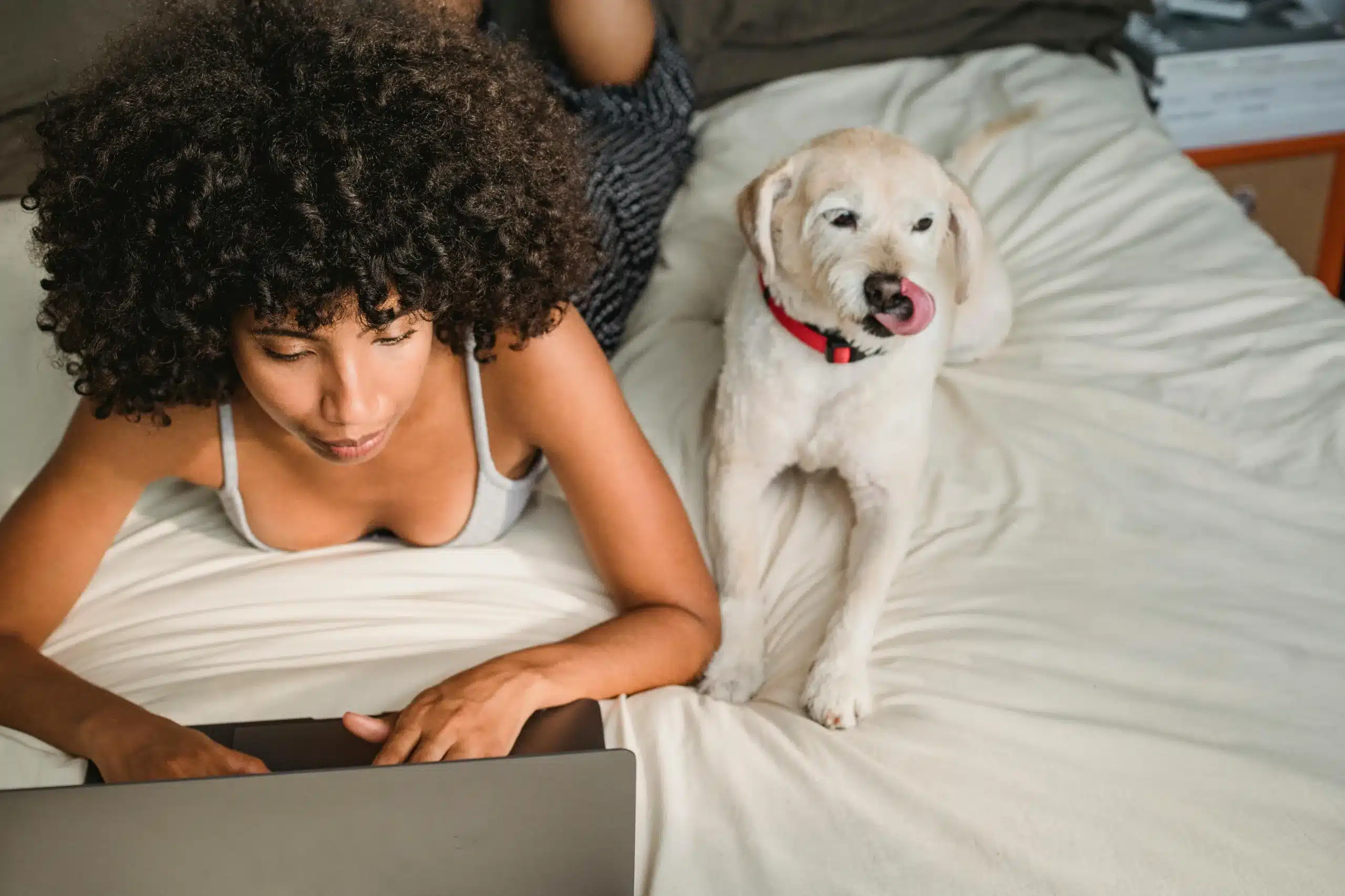 Why More Pet Owners Are Turning to Online Pharmacies in 2025