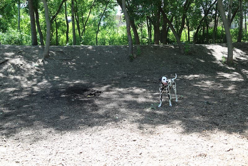 Carlson Dog Park