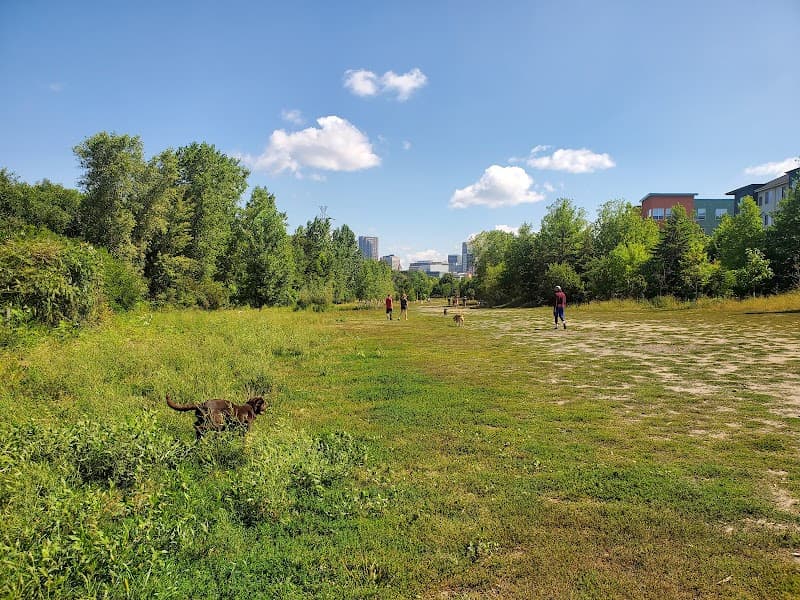High Bridge Dog Park photo 2