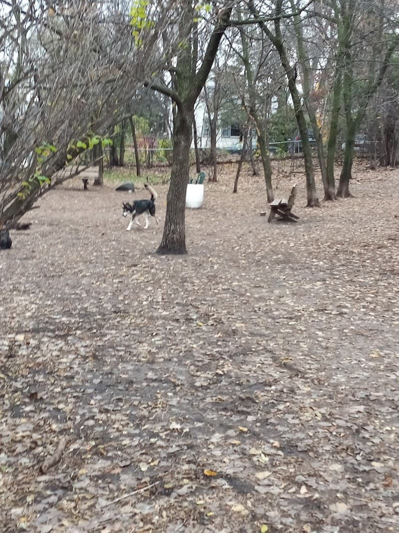 Arlington-Arkwright Dog Park