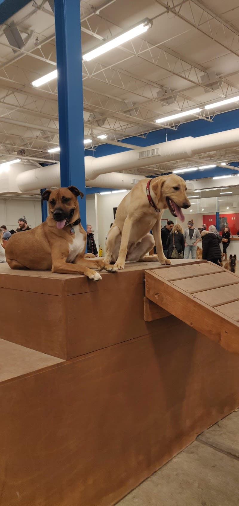 Unleashed Hounds and Hops photo 1