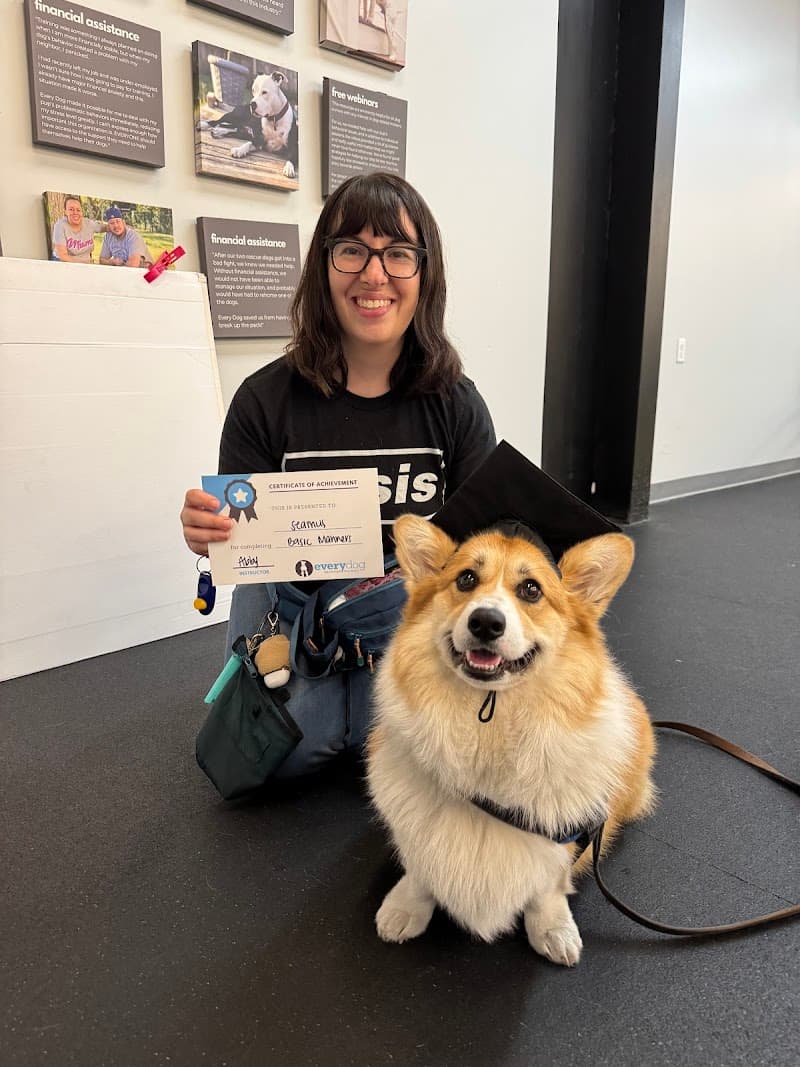 Every Dog Behavior and Training (North)
