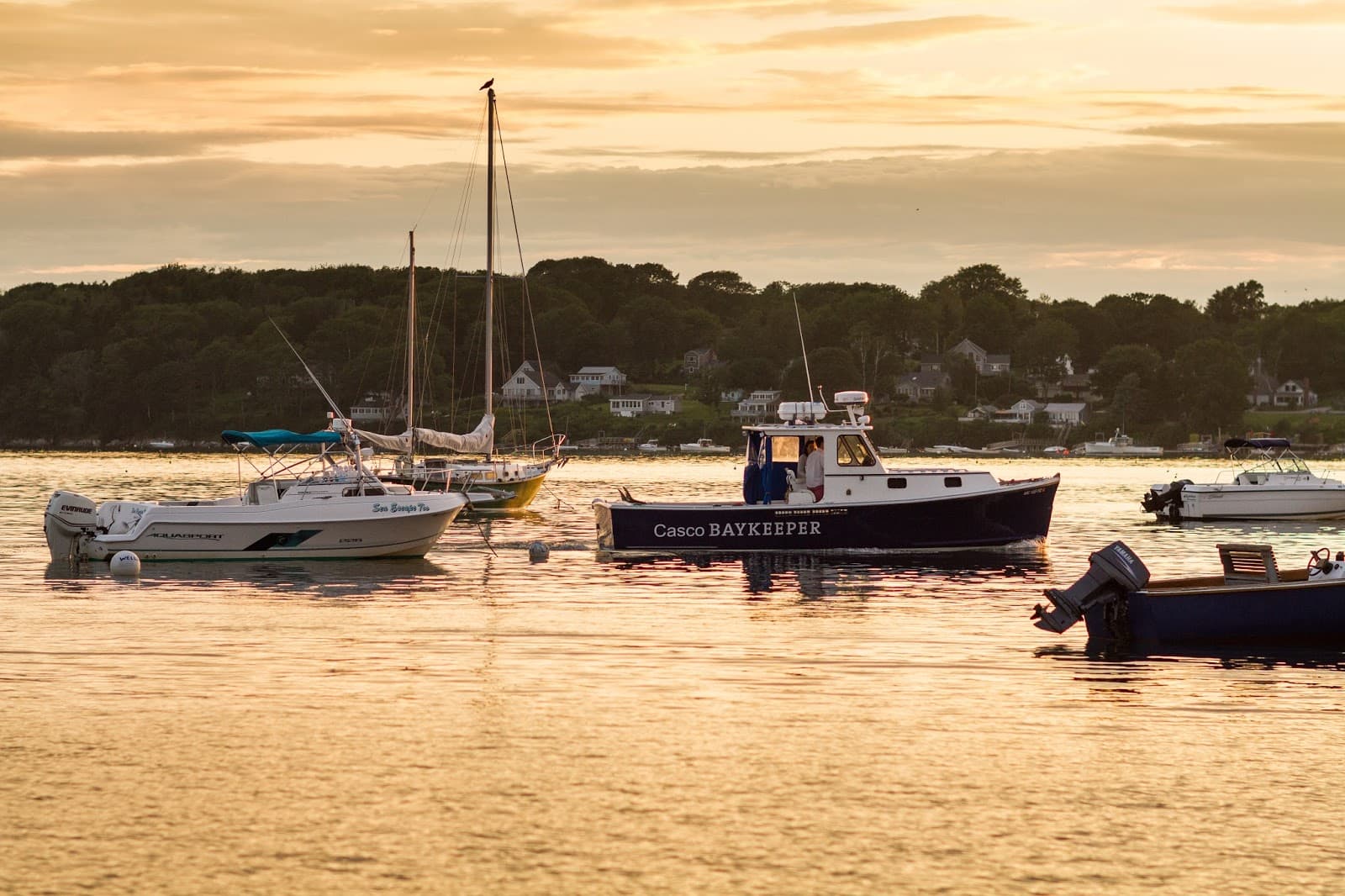 Friends of Casco Bay