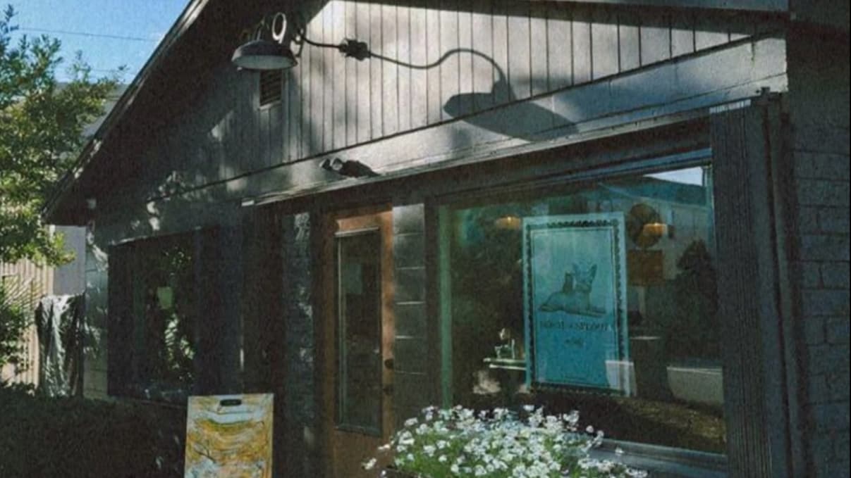 House of Sploot Pet Shop