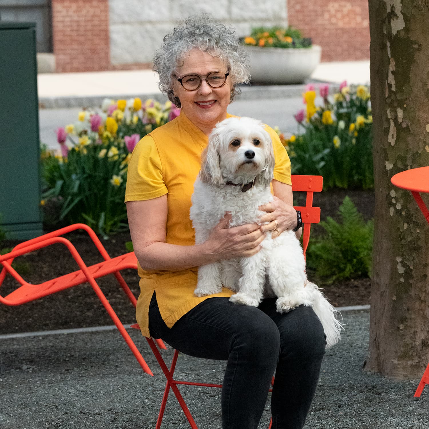 Ms B's Pet Care
