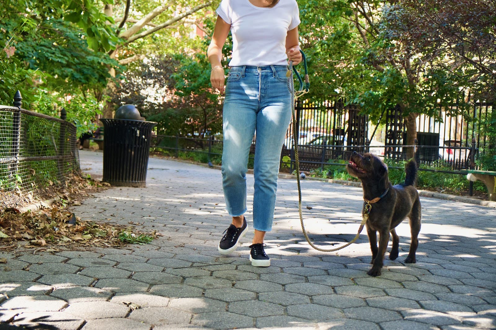 Paws for Thought Dog Training