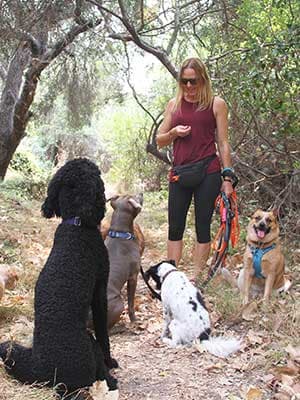 Penny's Pets PdR