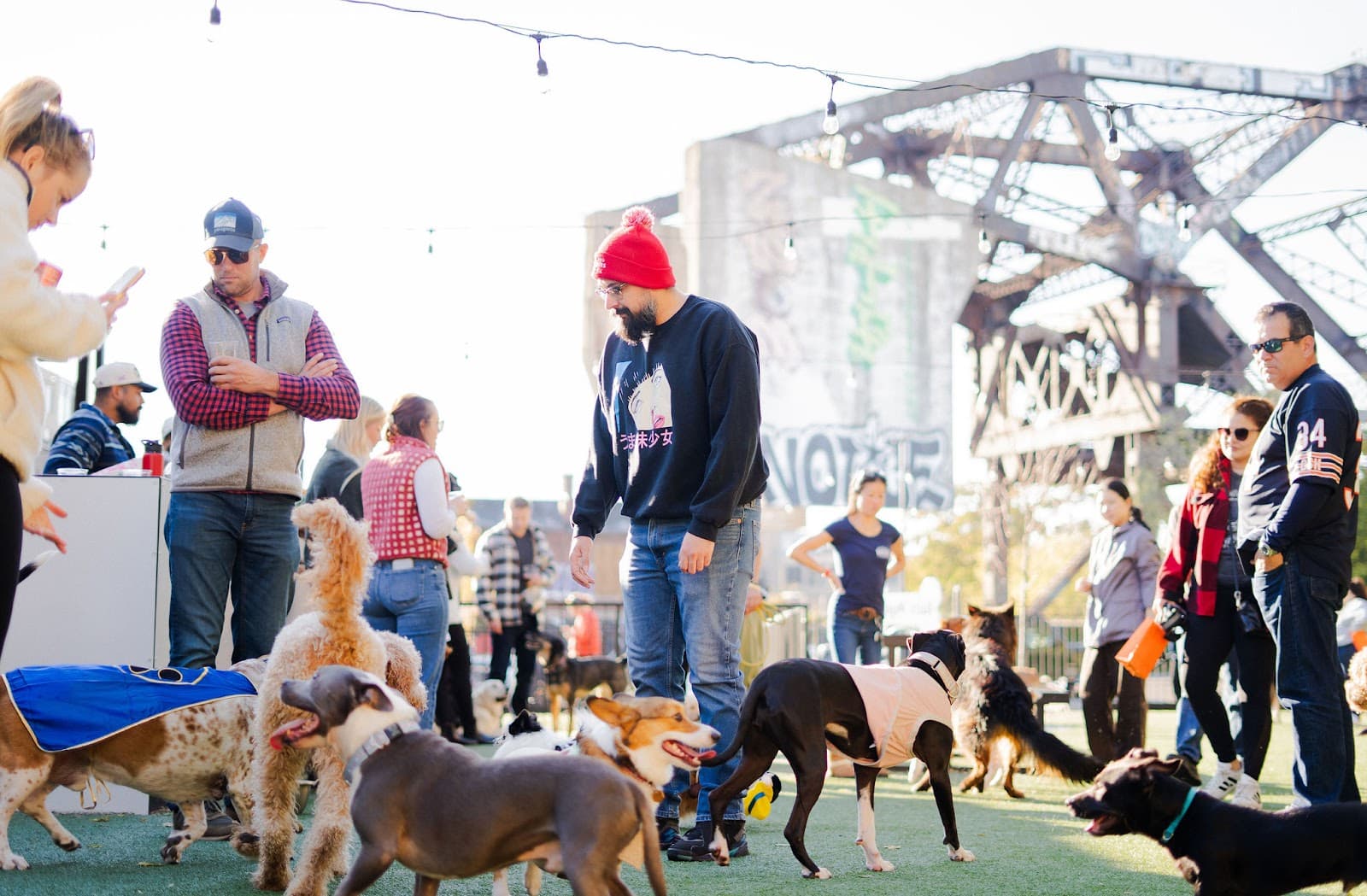 Pup Social