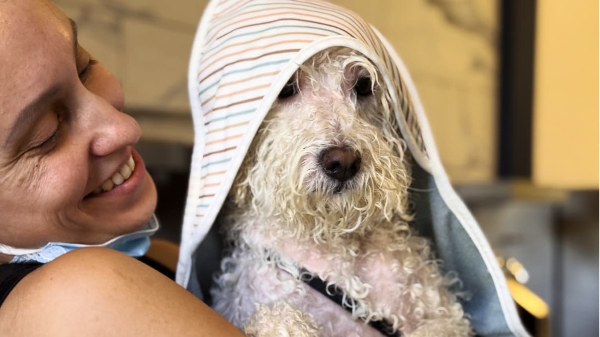 Snout Studios - Pet Care & Grooming Suites