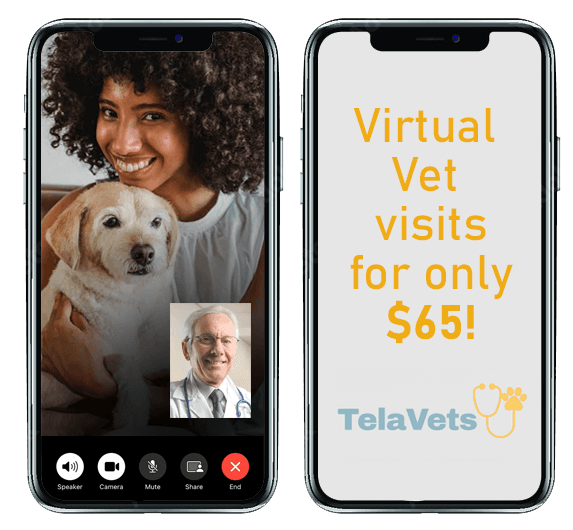 Telavets