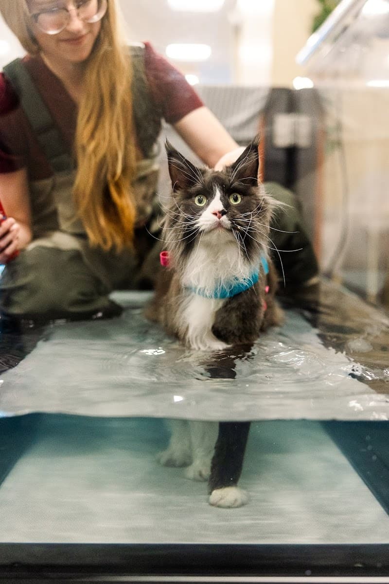 Walking Paws Rehab