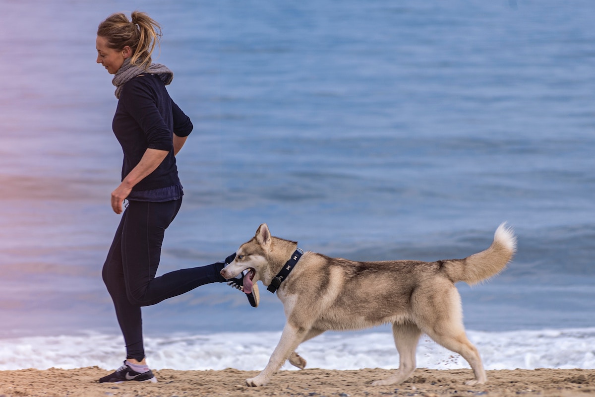 3 Fun Ways to Workout With Your Dog