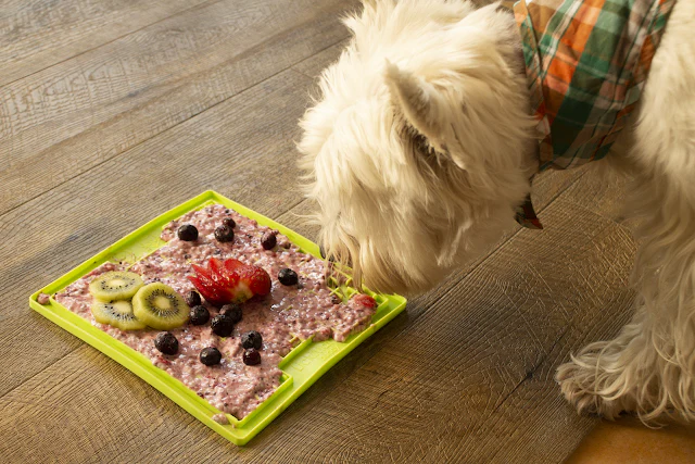 5 Drool-Worthy LickiMat Recipes for Dogs