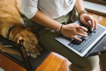 dog on computer with dog next to him