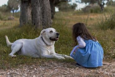 kid with labrador