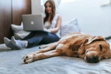 dog laying next to college student