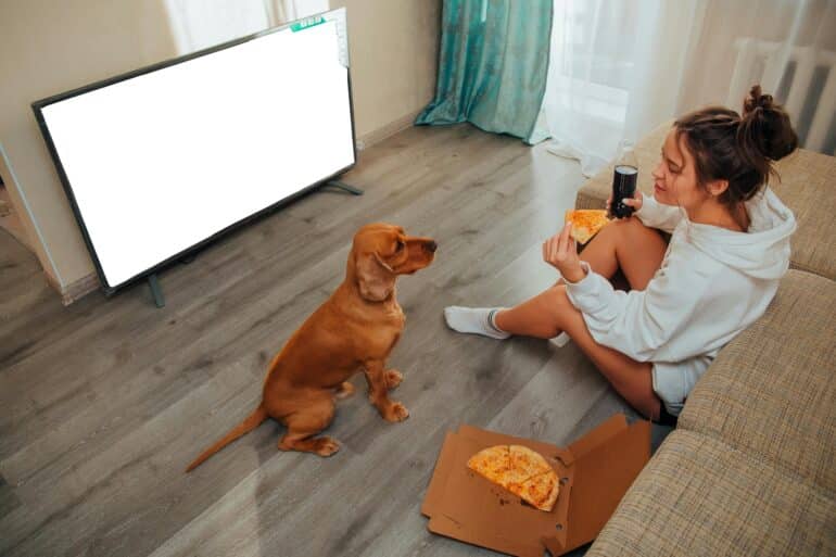 dog begging for pizza
